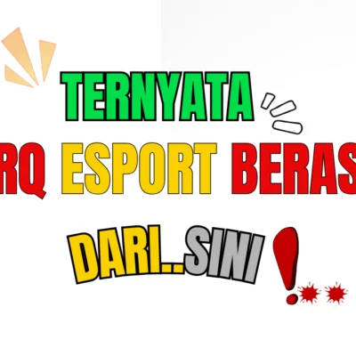 RRQ Esport Berasal Dari Indonesia 